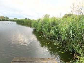 Photo of Picturesque view of river reeds and cloudy sky