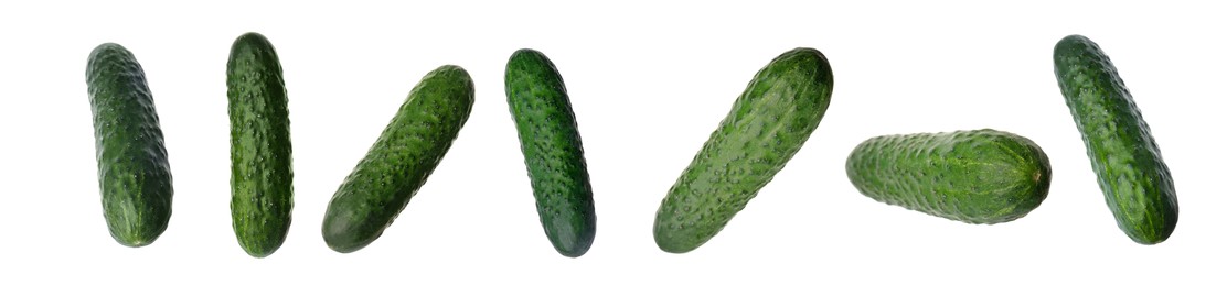 Image of Set with whole ripe cucumbers on white background. Banner design