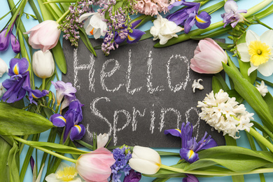 Photo of Board with words HELLO SPRING and fresh flowers on light blue background, flat lay