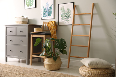 Stylish room interior with decorative ladder and monstera plant