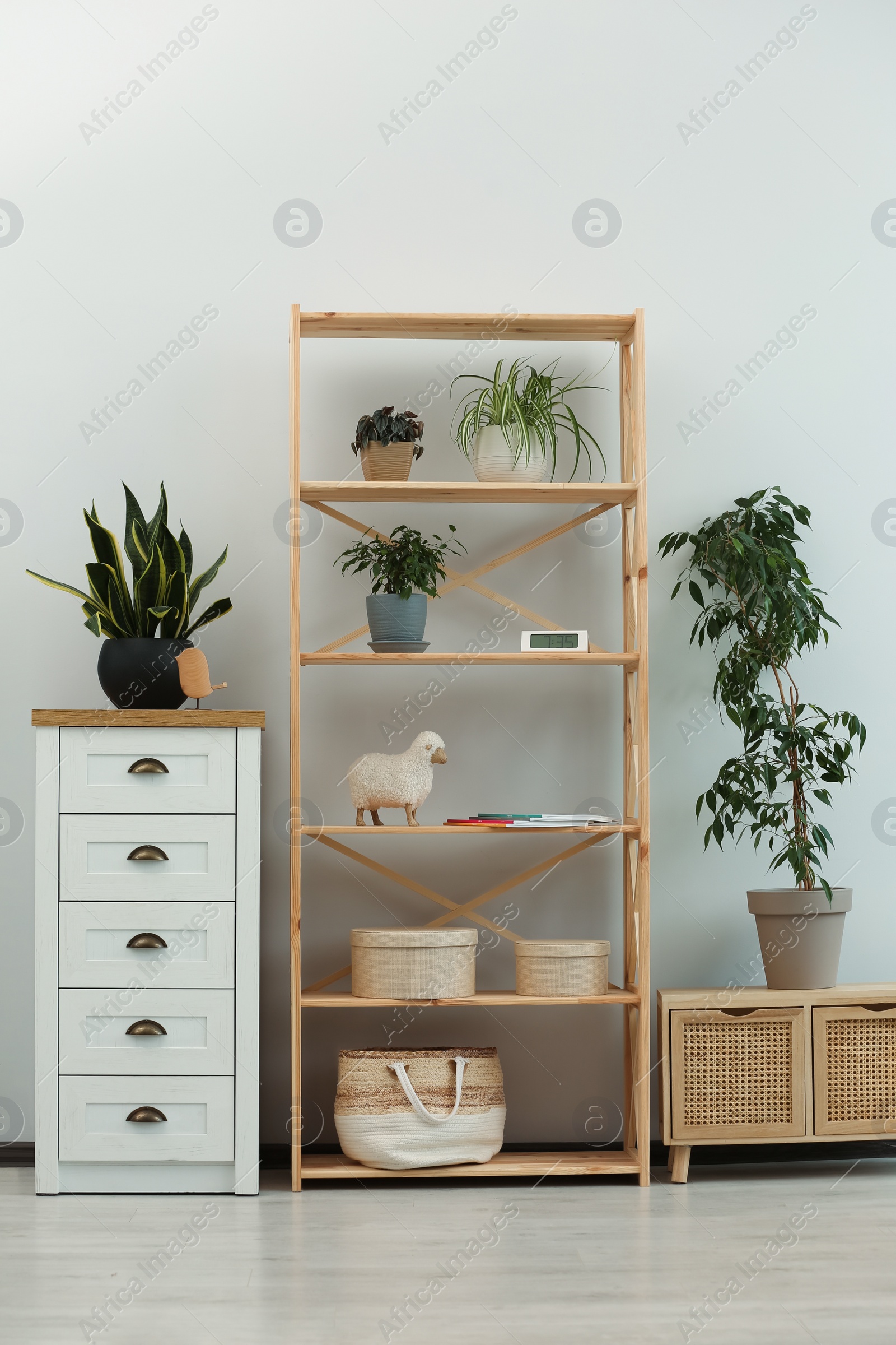 Photo of Stylish room interior with wooden furniture and beautiful green houseplants