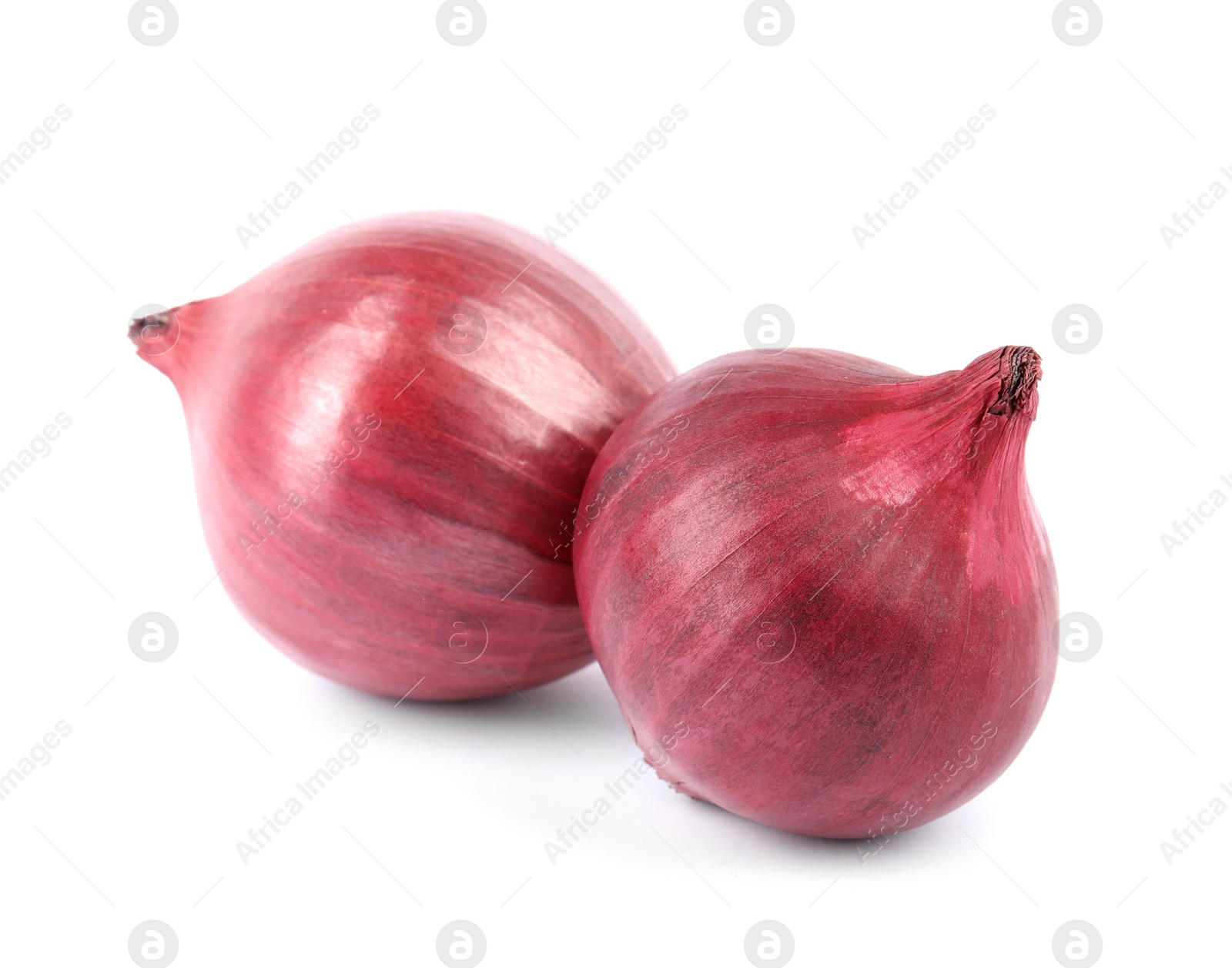 Photo of Fresh whole red onions on white background