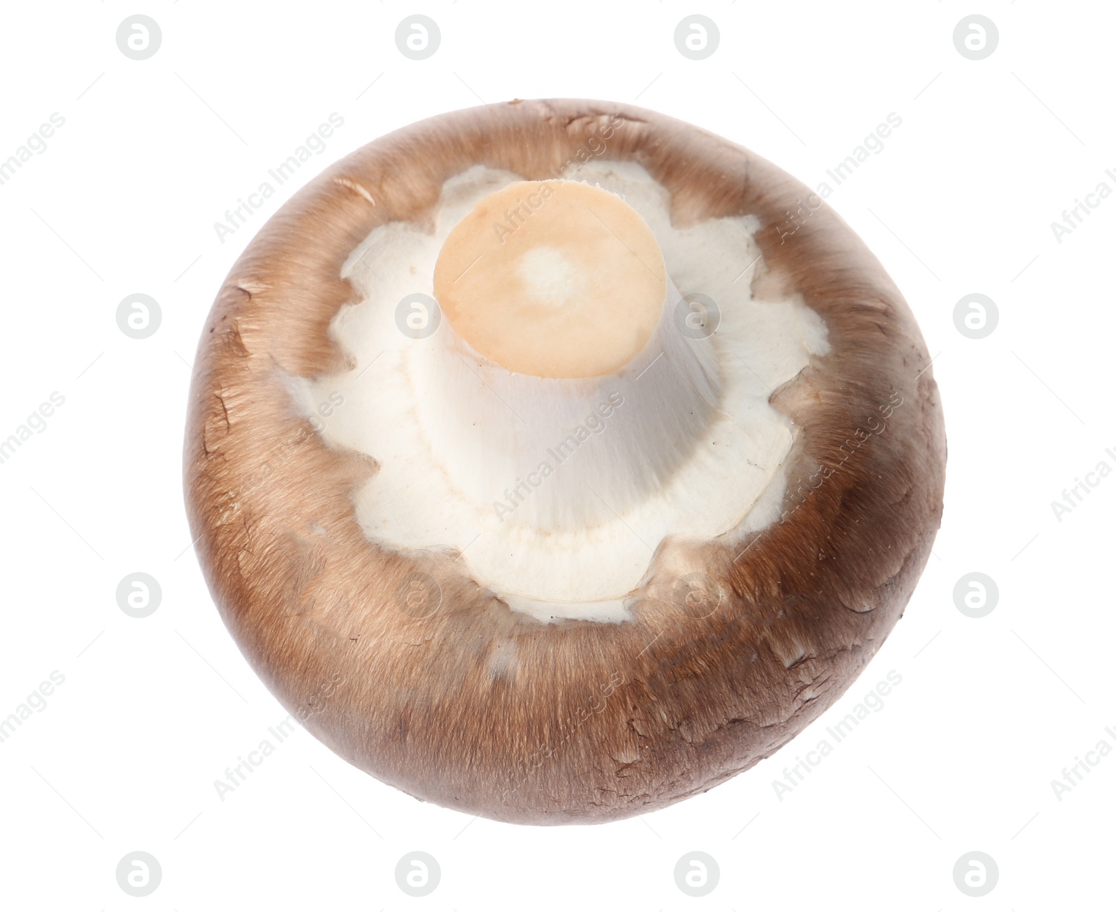 Photo of Fresh champignon mushroom isolated on white. Healthy food