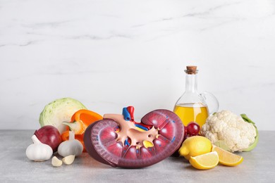 Photo of Composition with kidney model and different products on grey table against white background, space for text