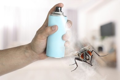 Image of Man spraying insect aerosol on fly in room, closeup