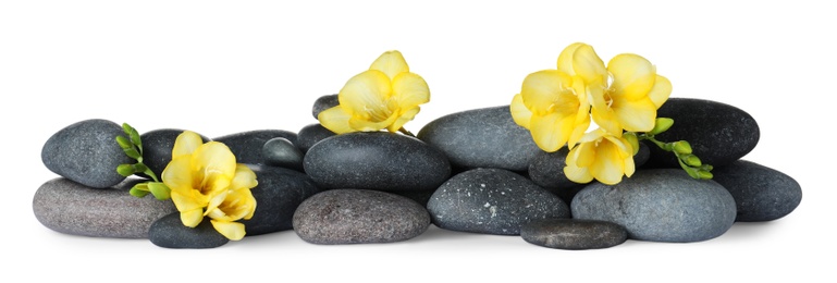 Photo of Pile of spa stones and freesia flowers on white background