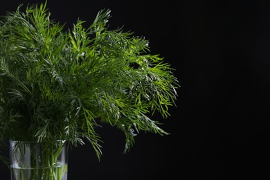 Fresh dill in glass on black background, closeup. Space for text