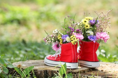 Photo of Beautiful flowers in shoes on stump outdoors, space for text