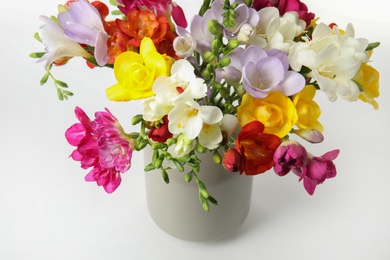 Vase with beautiful spring freesia flowers isolated on white