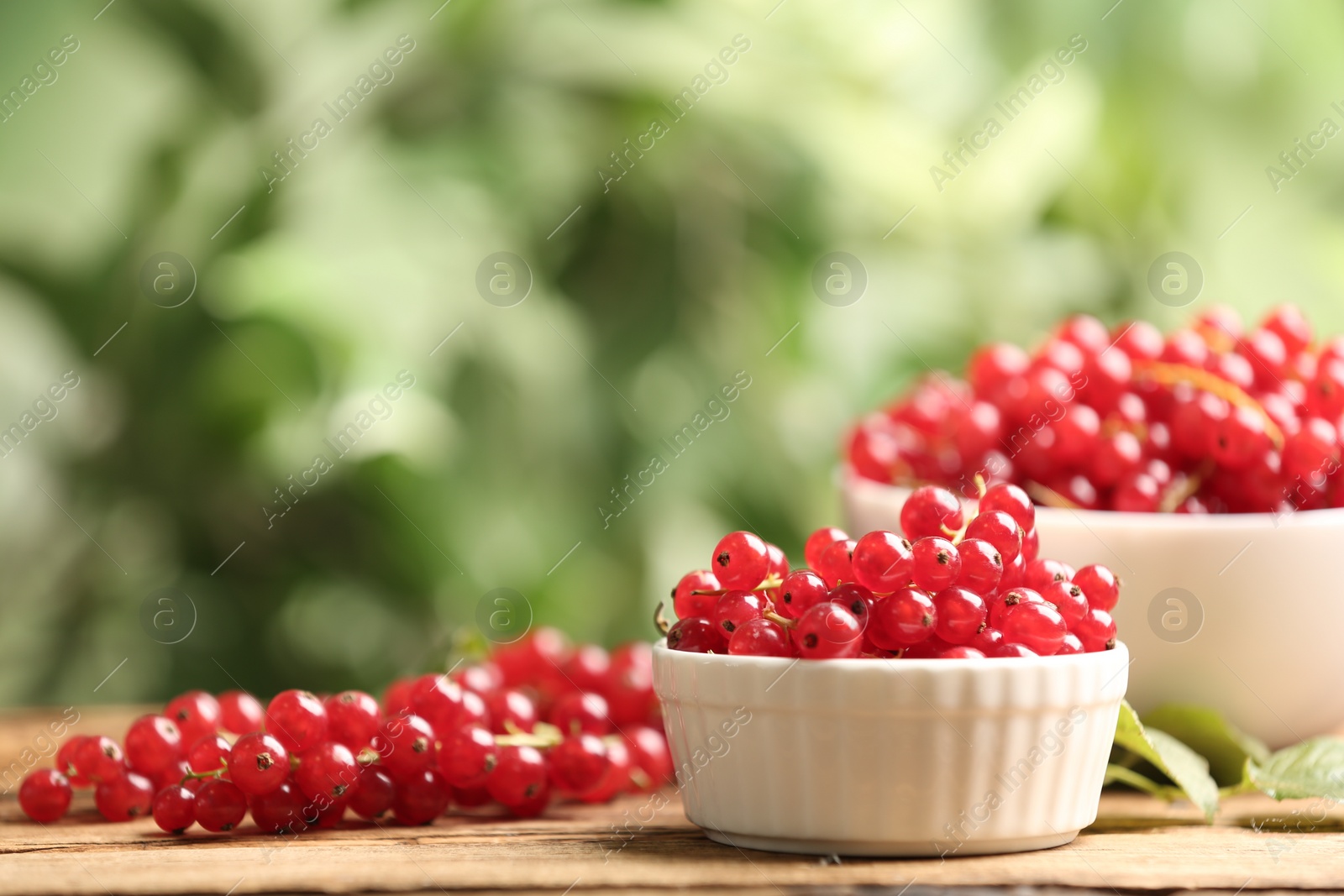 Photo of Ripe red currants on wooden table against blurred background. Space for text