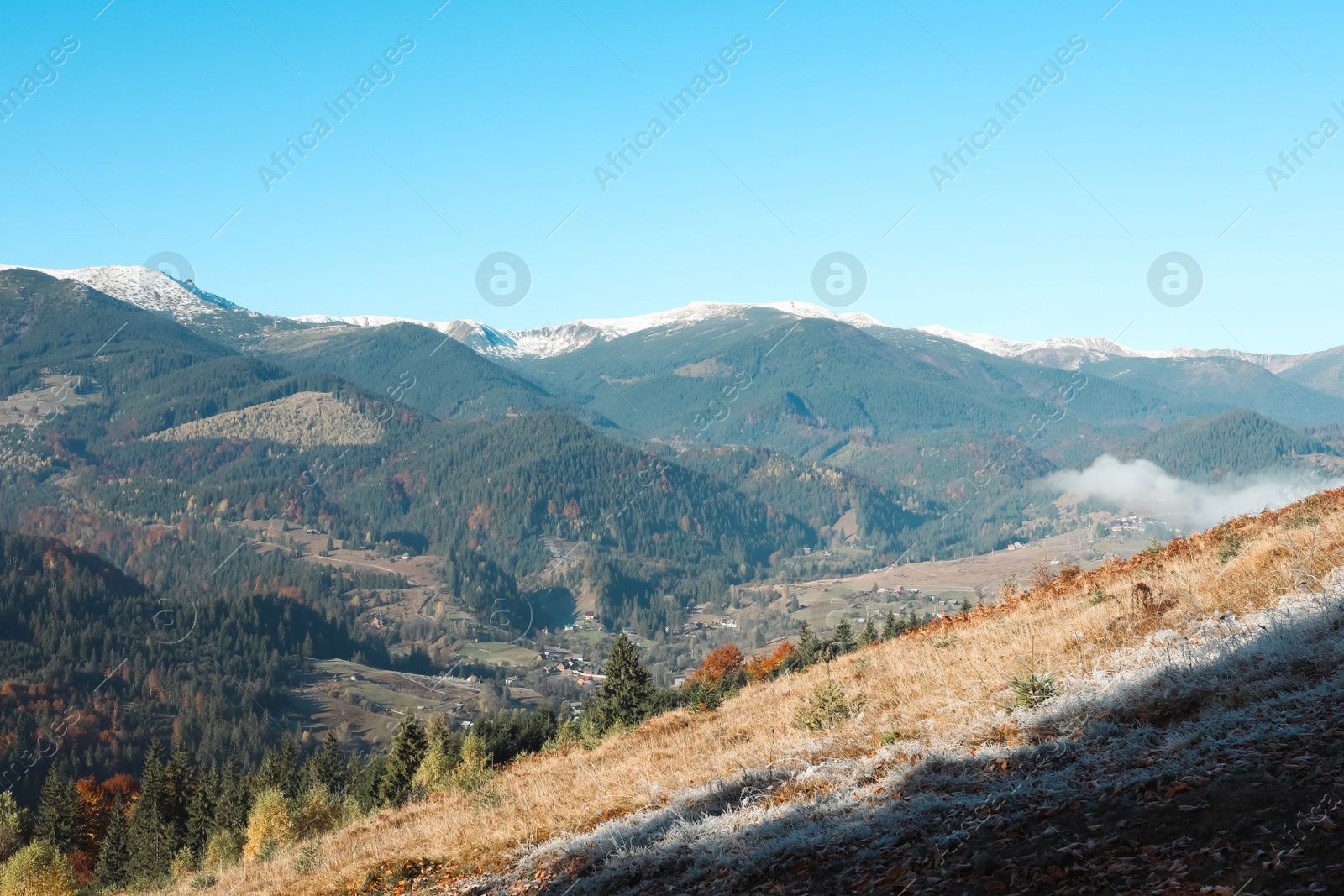 Photo of Beautiful mountain landscape in morning. Sunlit grass covered with hoarfrost