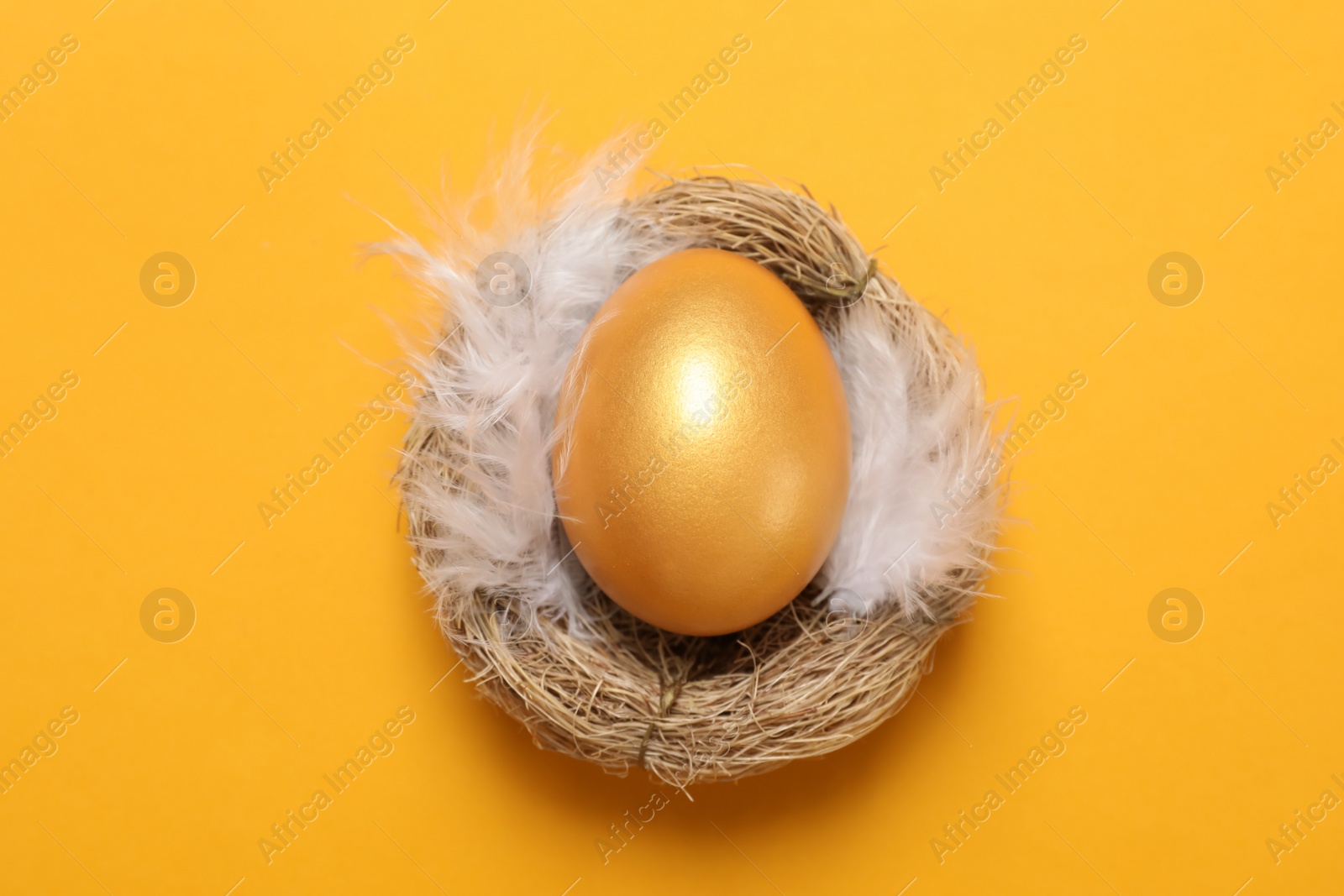 Photo of Shiny golden egg with feathers in nest on orange background, top view