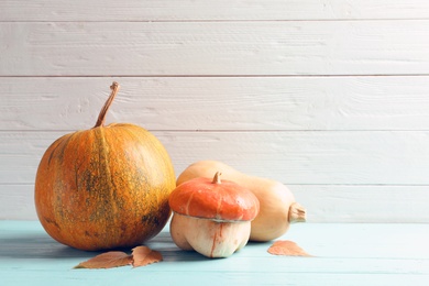 Photo of Different pumpkins with space for text against wooden wall. Autumn holidays