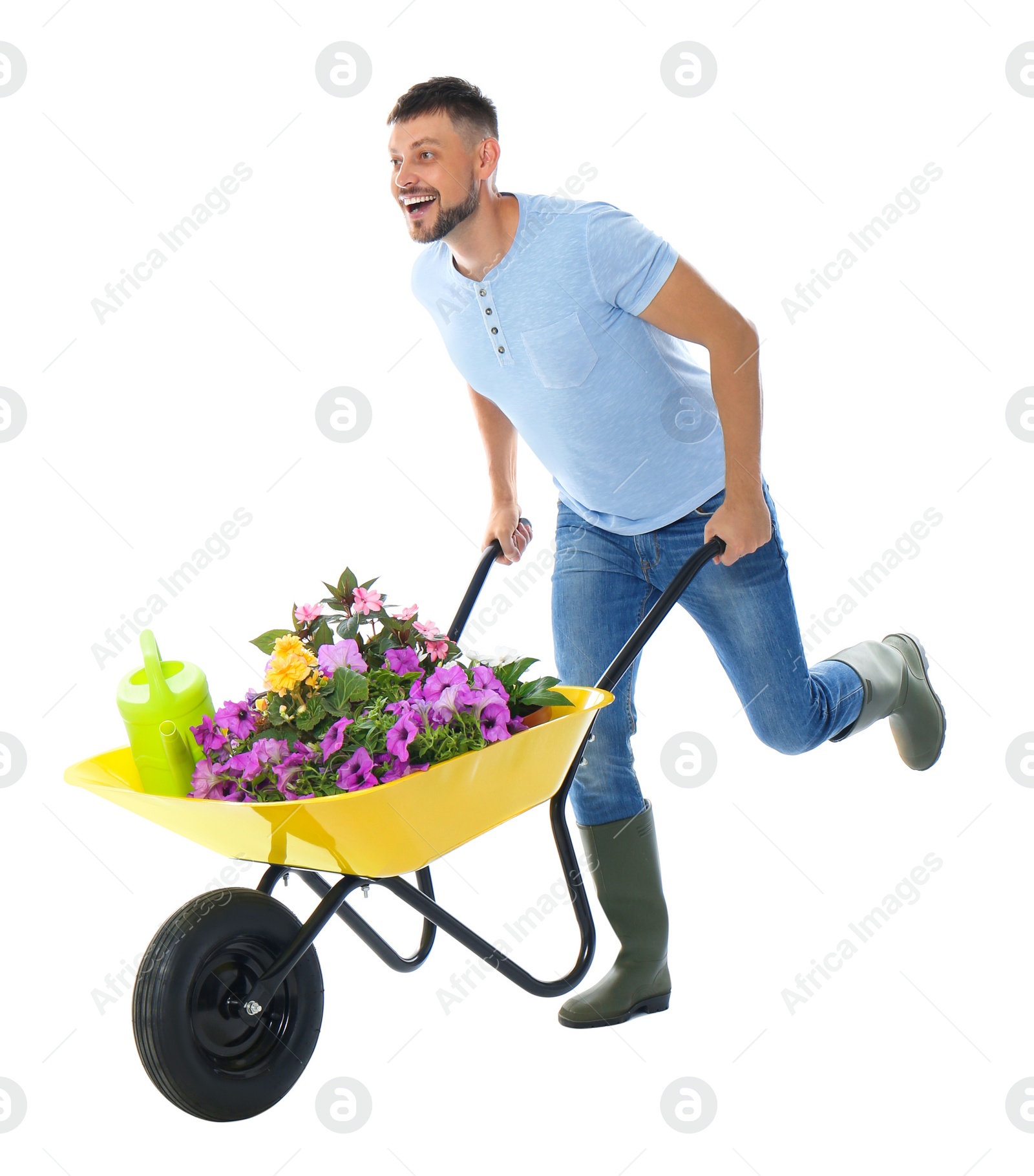 Photo of Male gardener with wheelbarrow and plants on white background