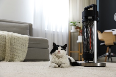 Cat near modern electric halogen heater on floor in living room