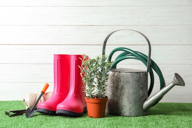 Plant, rubber boots and gardening tools on artificial grass