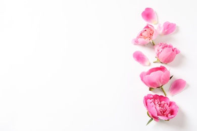 Photo of Beautiful peony flowers on white background, top view