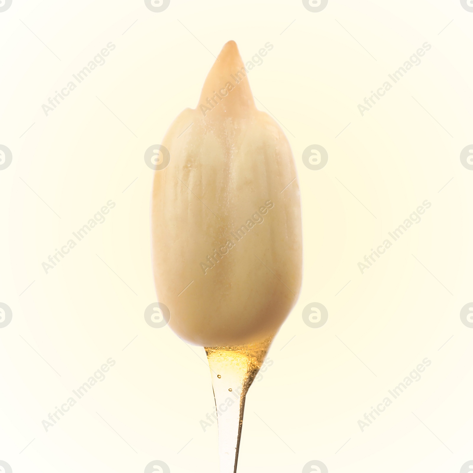 Image of Sunflower seed with oil on beige gradient background