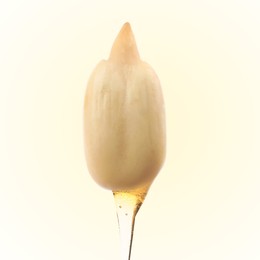 Image of Sunflower seed with oil on beige gradient background