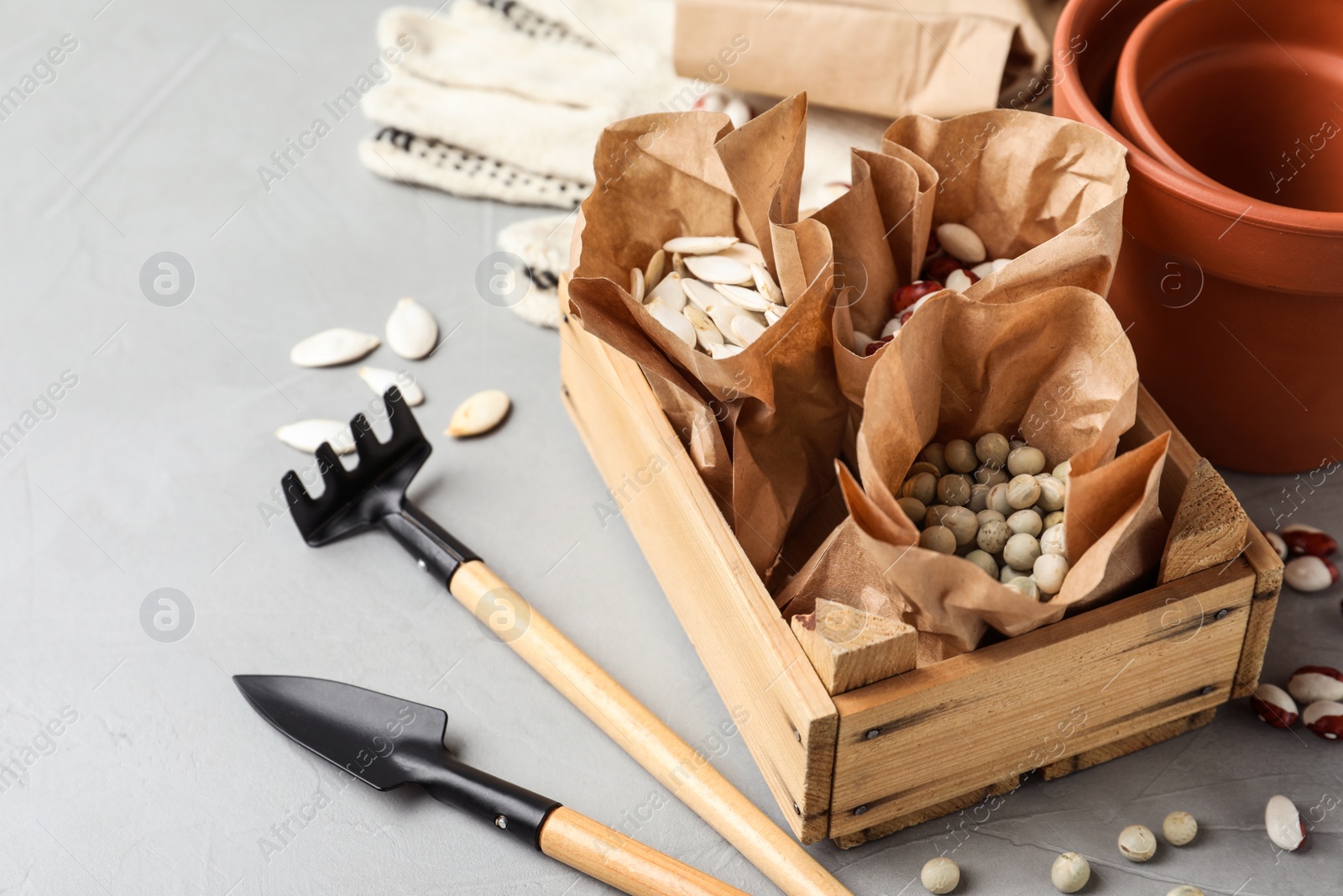 Photo of Different vegetable seeds and gardening tools on light grey table