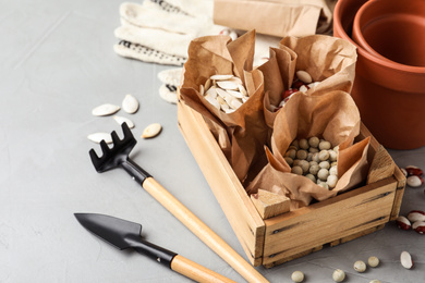 Photo of Different vegetable seeds and gardening tools on light grey table