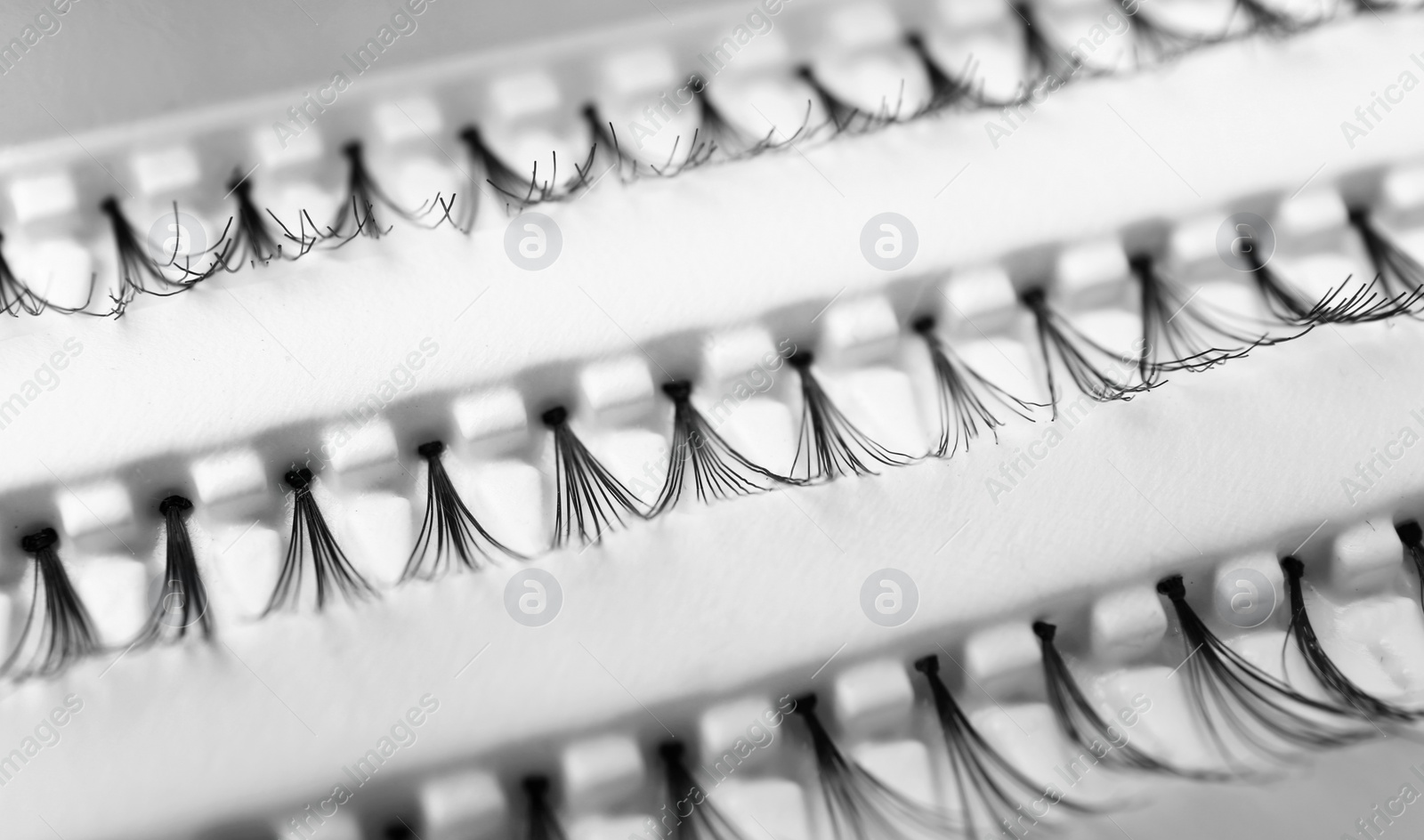 Photo of False eyelashes in pack, closeup