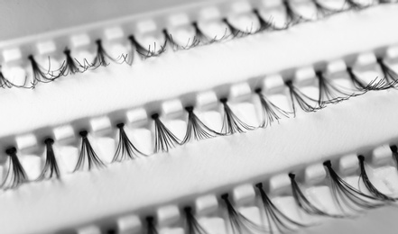 Photo of False eyelashes in pack, closeup