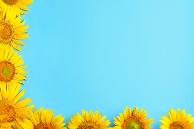 Photo of Beautiful bright sunflowers on light blue background, flat lay. Space for text