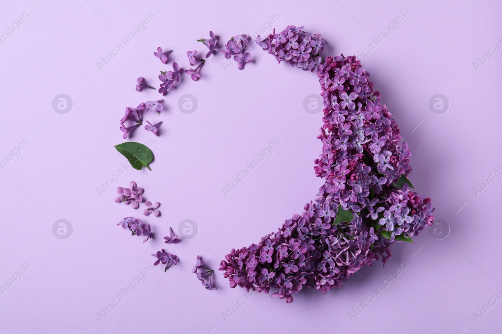 Photo of Frame made with beautiful lilac blossom on violet background, flat lay. Space for text