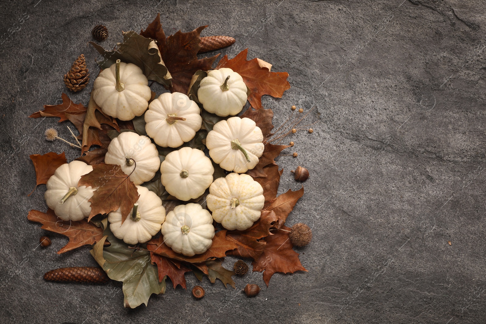 Photo of Flat lay composition with ripe pumpkins on grey textured table. Space for text