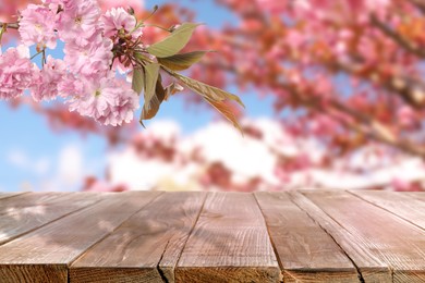 Image of Empty wooden surface and beautiful blossoming sakura tree on background