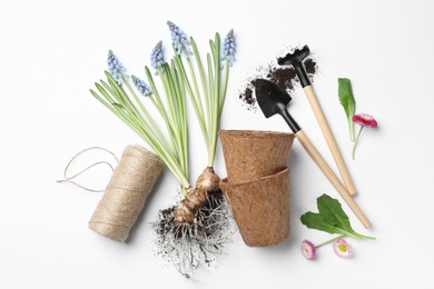 Photo of Composition with gardening equipment on white background, top view