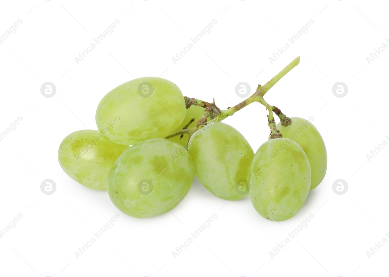 Photo of Fresh ripe juicy grapes isolated on white