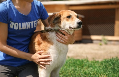 Photo of Woman with homeless dog in animal shelter, space for text. Concept of volunteering