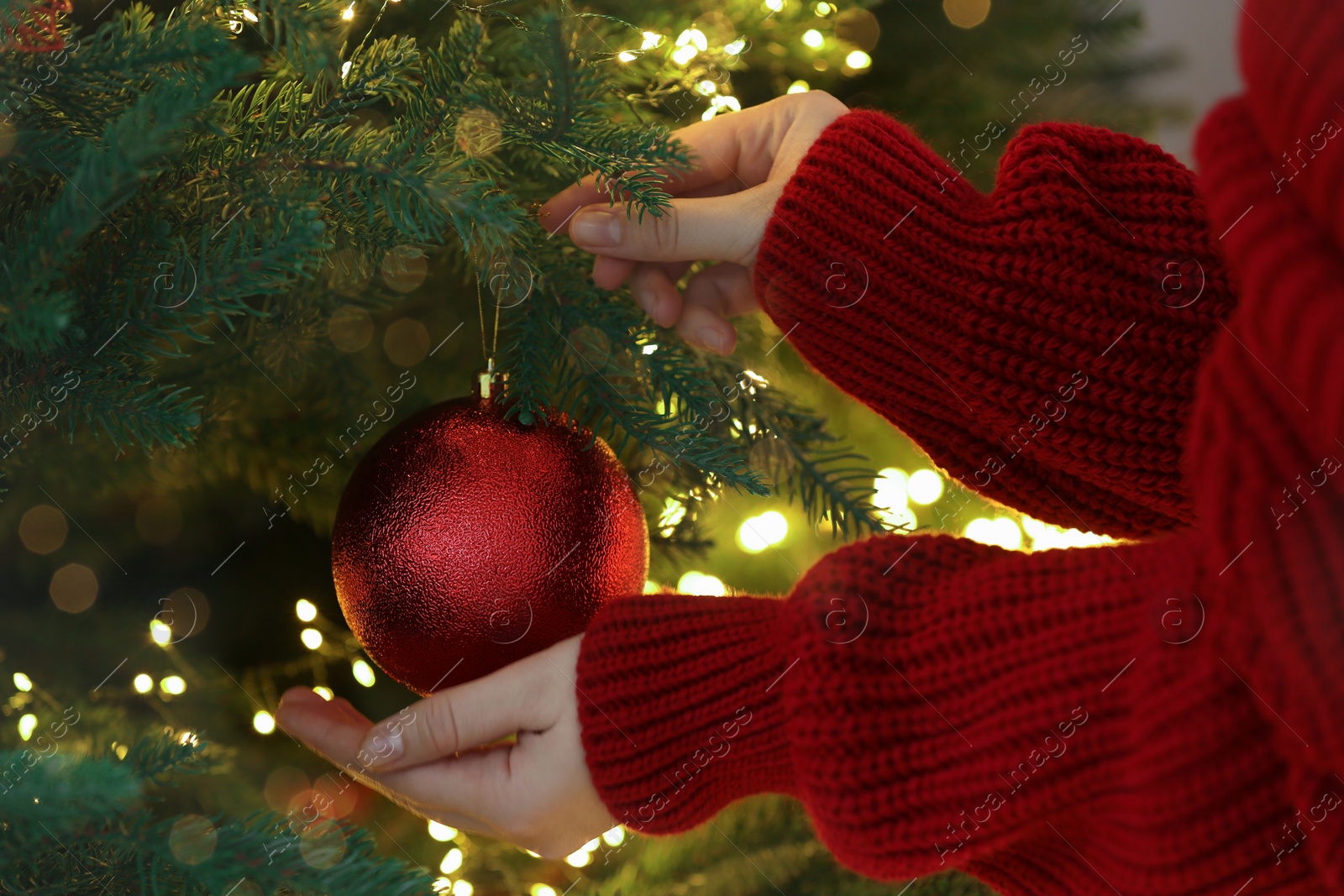 Photo of Woman decorating Christmas tree with red festive ball, closeup