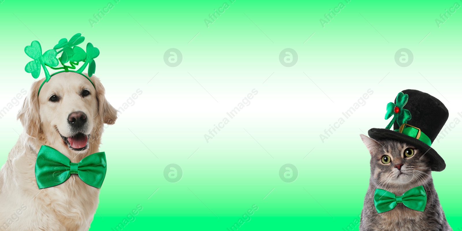 Image of St. Patrick's day celebration. Cute dog and cat with festive accessories on green background. Banner design with space for text