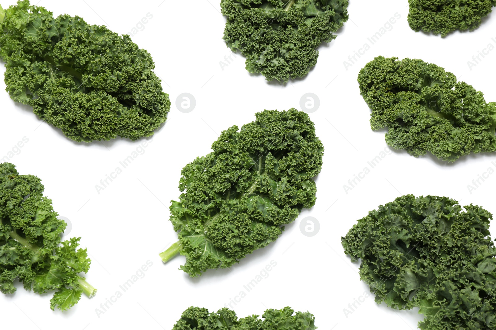 Photo of Fresh kale leaves on white background, top view