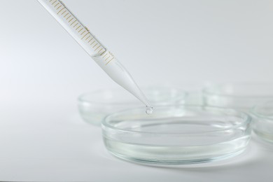 Dripping liquid from pipette into petri dish on light background, closeup