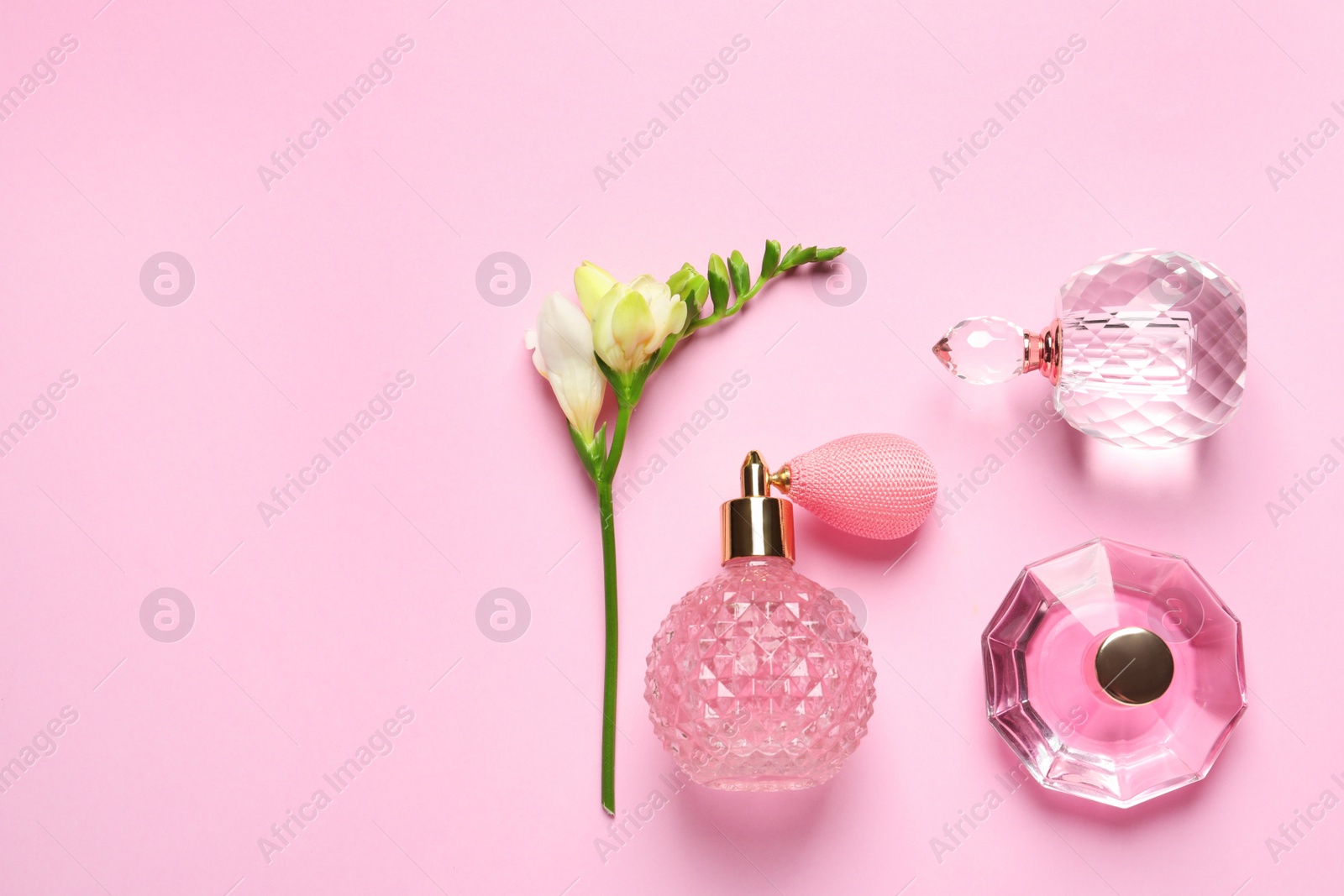 Photo of Flat lay composition with perfume bottles and flowers on light pink background, space for text