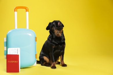 Adorable black Petit Brabancon dog with ticket and passport near suitcase on yellow background. Space for text