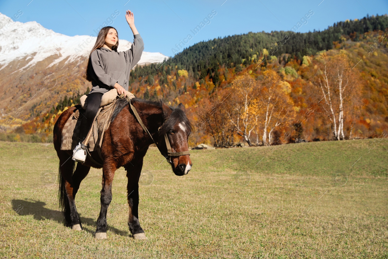 Photo of Young woman riding horse in mountains on sunny day. Beautiful pet