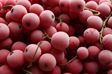 Tasty frozen red currants as background, closeup view