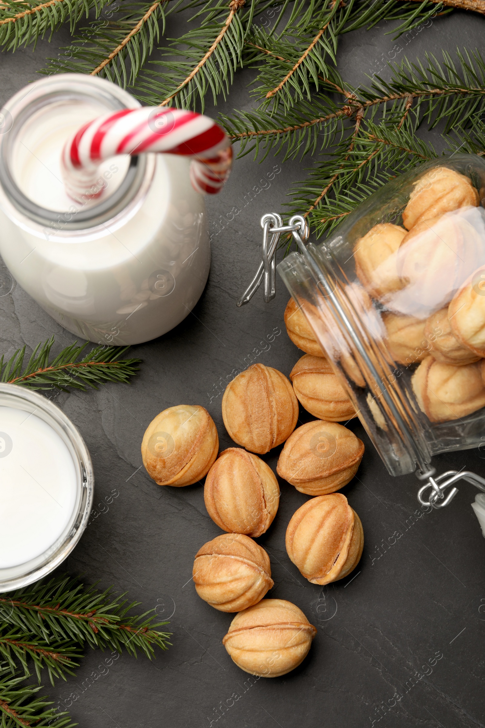 Photo of Homemade walnut shaped cookies, milk and fir branches on black table, flat lay