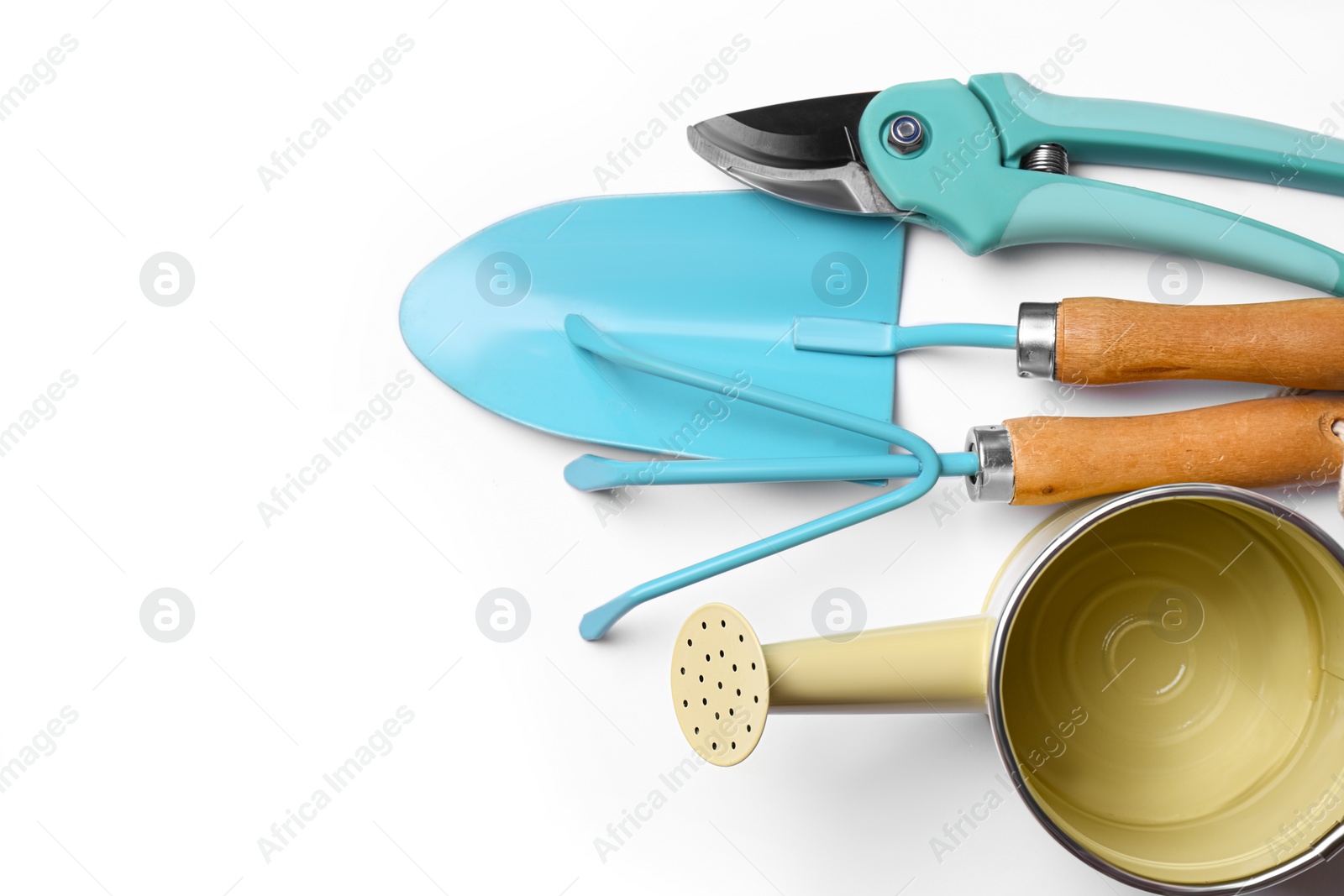 Photo of Watering can and gardening tools on white background, flat lay. Space for text