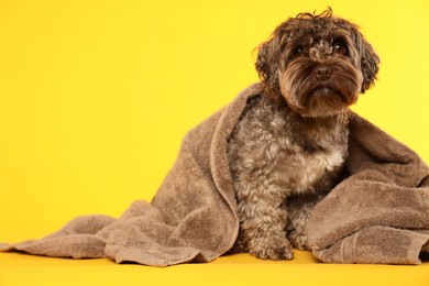 Photo of Cute dog with towel on yellow background