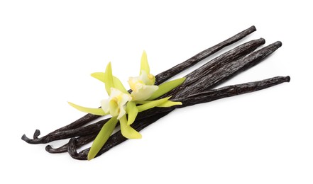 Photo of Vanilla pods and beautiful flowers isolated on white