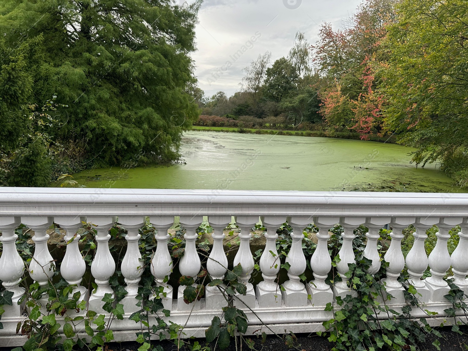 Photo of Beautiful white fencing near pond in park