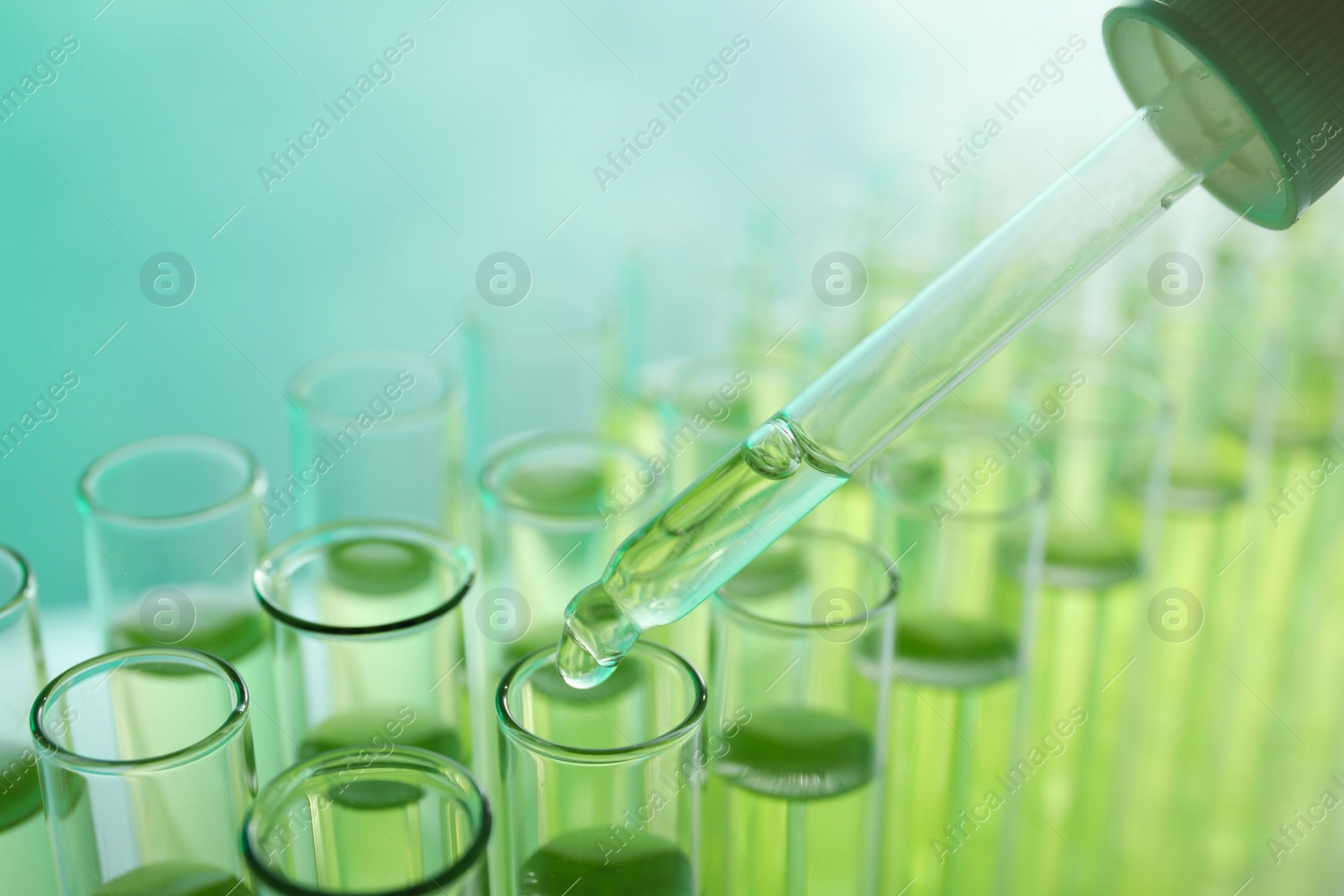 Photo of Dropping sample into test tube with liquid on color background, closeup