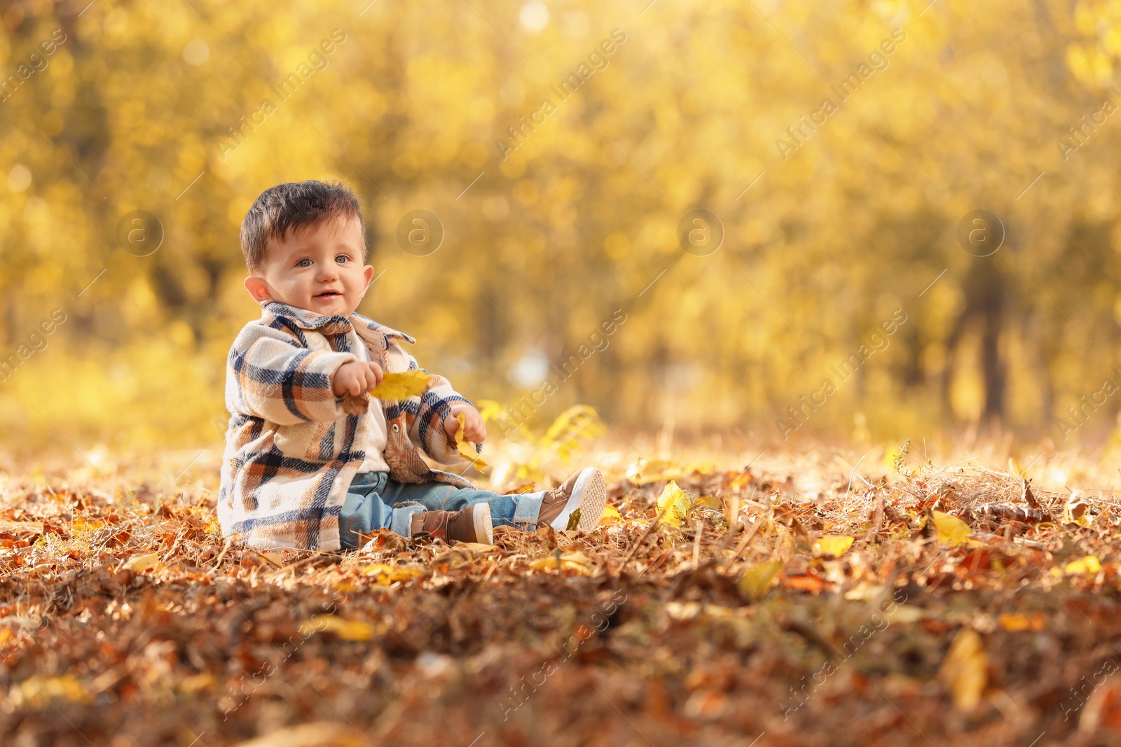 Photo of Cute little child on ground with dry leaves in autumn park, space for text