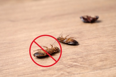 Image of Dead cockroaches with red prohibition sign on wooden floor. Pest control